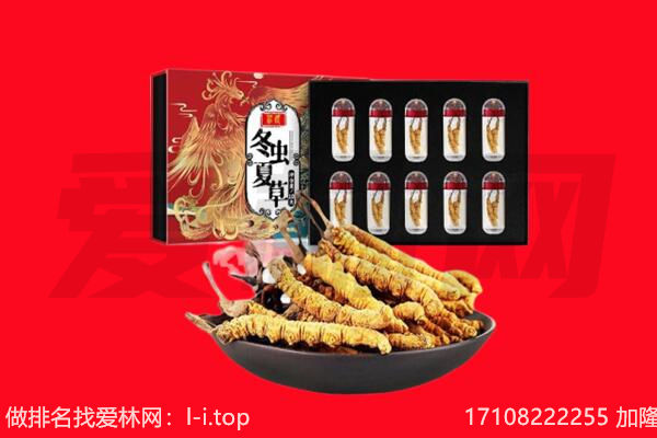 黄石回收虫草.jpg
